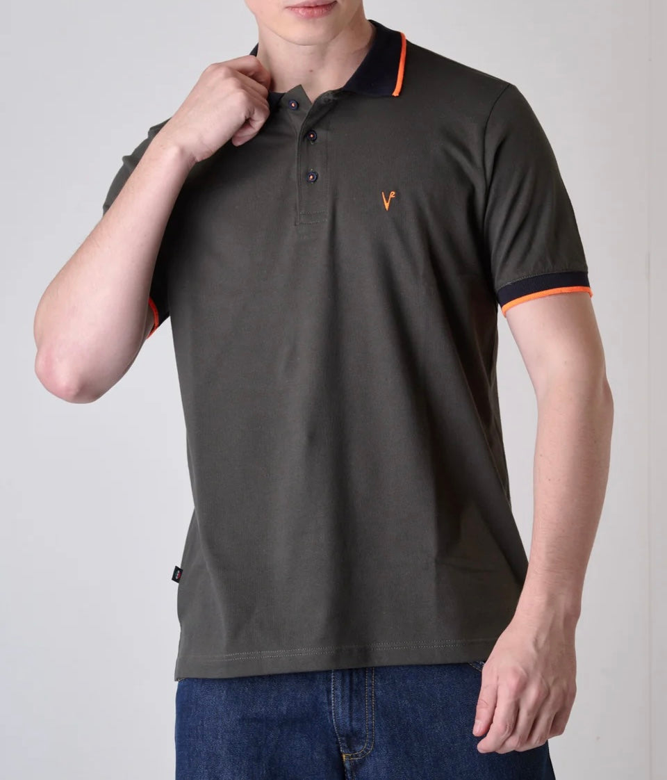 Polo V2