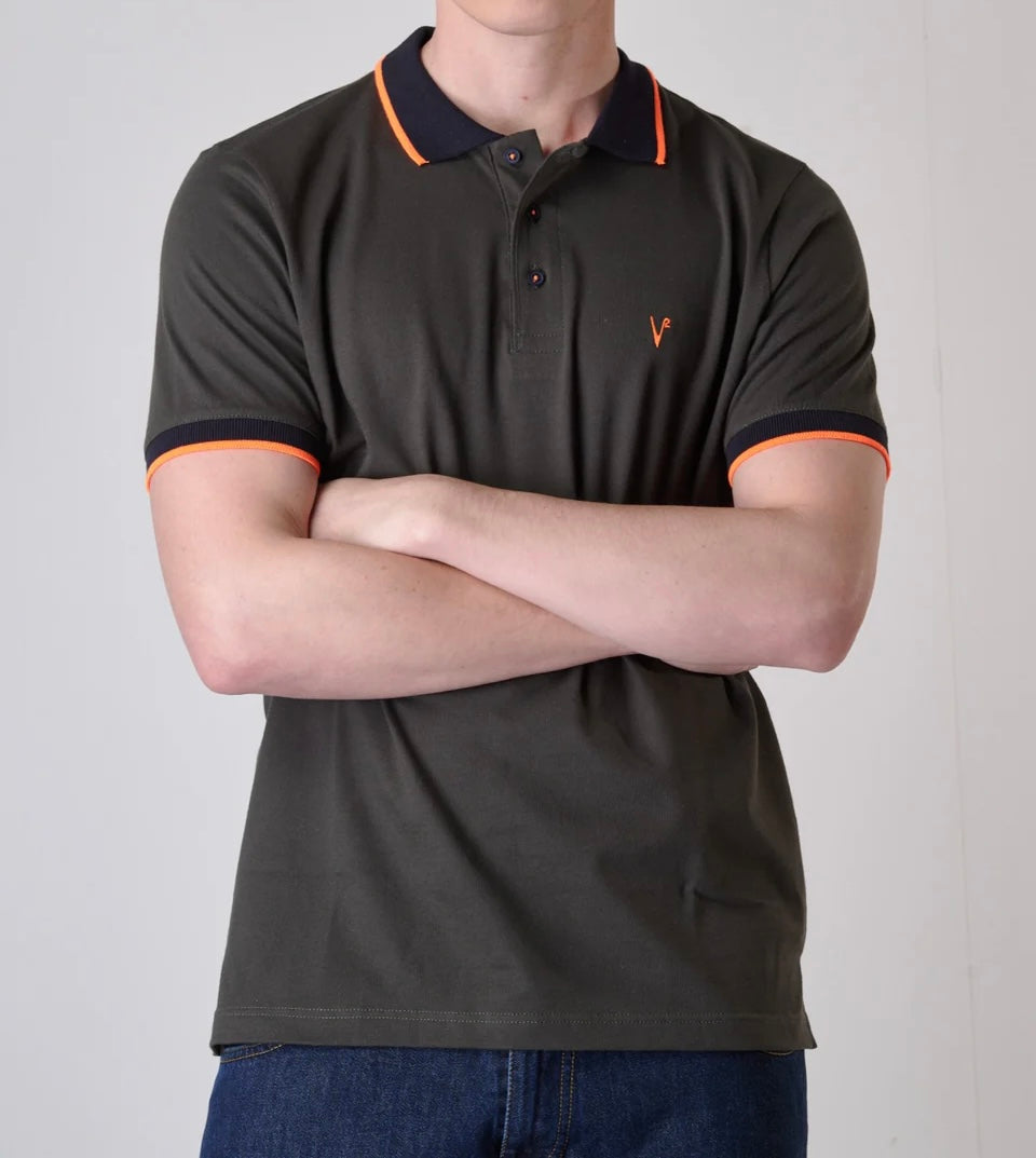 Polo V2