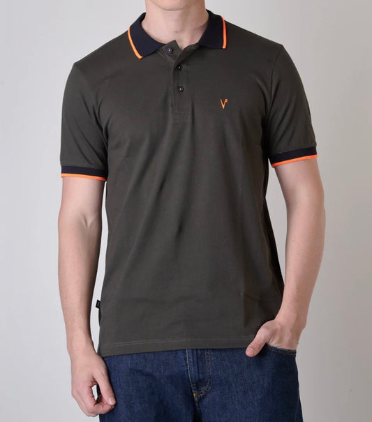 Polo V2
